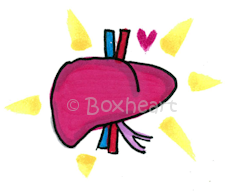 Boxheart Button Design 25-024